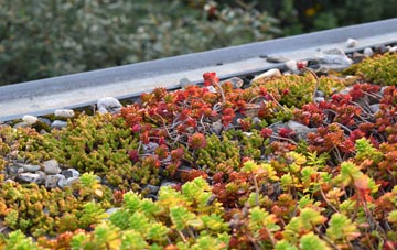 the cost of Pett Level green roof installation