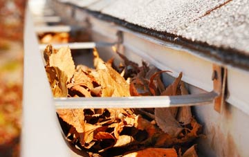 Pett Level gutter cleaning companies