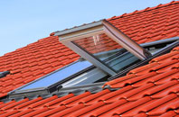 Pett Level roof window
