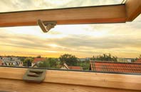rated Pett Level roof window companies
